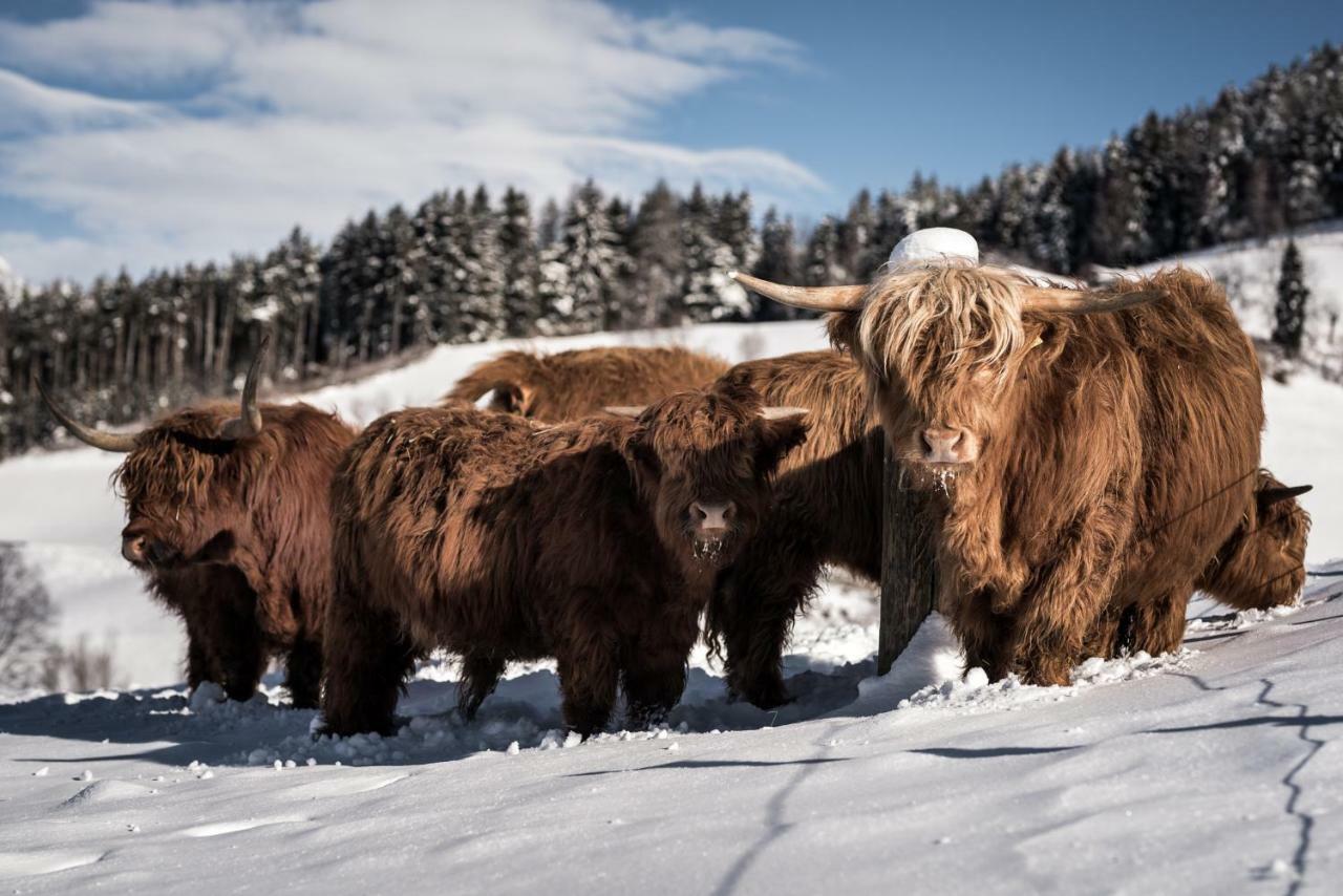 Naturapart Brunico Kültér fotó